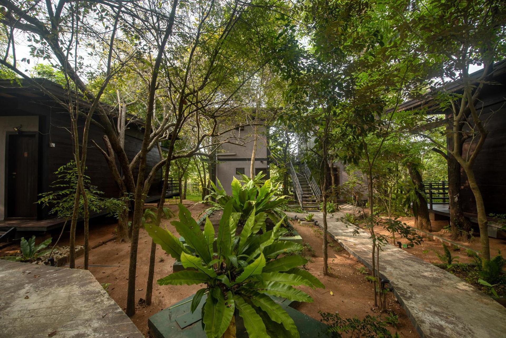 Atha Resort Sigiriya Bagian luar foto