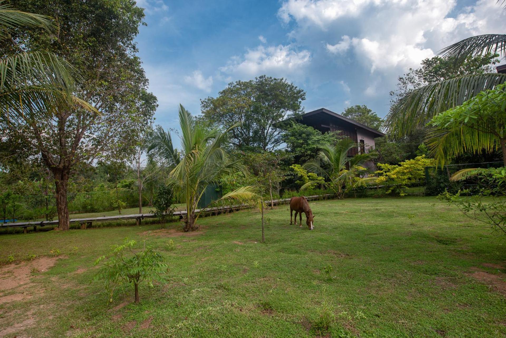 Atha Resort Sigiriya Bagian luar foto